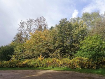 Holiday house 6 Personen Ferienhaus in Ansager - Outdoor photo 15