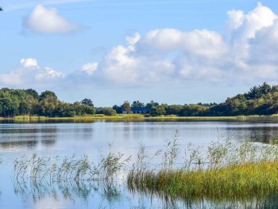 Holiday house 6 Personen Ferienhaus in Ansager - Outdoor photo 31