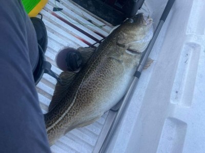 Holiday house Family Oasis with Lake View-By Traum - Outdoor photo 20