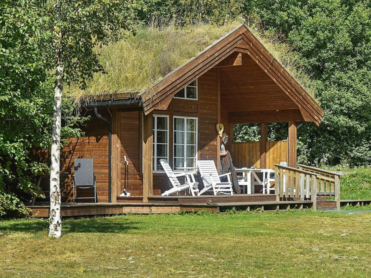 Holiday house Kustenidylle im Settem Fjord-By Traum - Outdoor photo 5