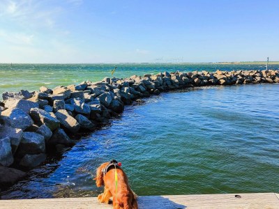 Holiday house 5 Personen Ferienhaus in Løgstør - Outdoor photo 23