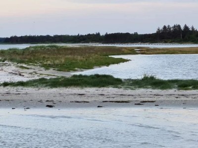 Holiday house 8 person holiday home in Hadsund - Outdoor photo 39