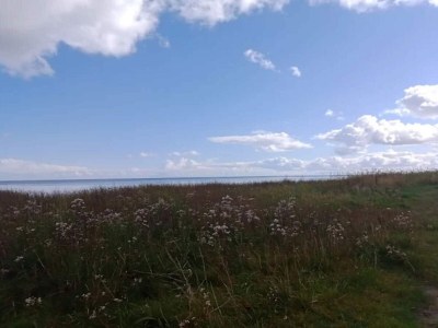 Holiday house 8 person holiday home in Hadsund - Outdoor photo 40