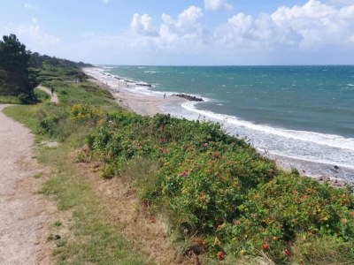 Holiday house 6 Personen Ferienhaus in Gilleleje - Outdoor photo 50