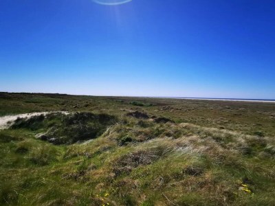 Holiday house 6 person holiday home in Fanø - Outdoor photo 15