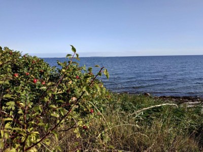 Holiday house 6 Personen Ferienhaus in Nordborg - Outdoor photo 33