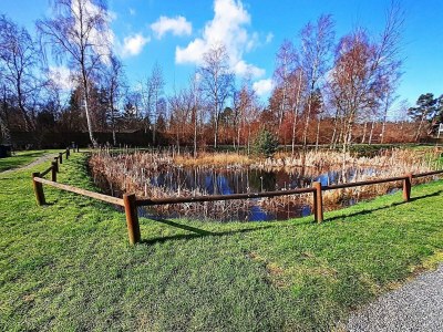 Holiday house Luxury Retreat in Rorvig Park-By Traum - Outdoor photo 16