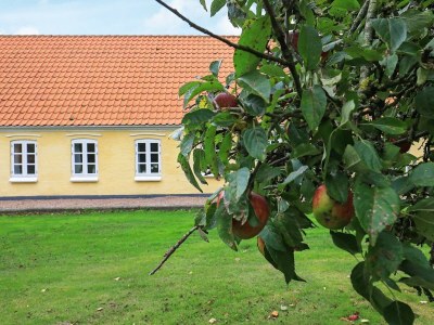 Holiday house 16 Personen Ferienhaus in Nykøbing M - Outdoor photo 21