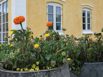 Holiday house 16 Personen Ferienhaus in Nykøbing M - Outdoor photo 40