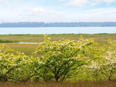 Holiday house 16 Personen Ferienhaus in Nykøbing M - Outdoor photo 46