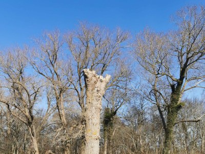 Holiday house 5 Personen Ferienhaus in Holeby - Outdoor photo 13