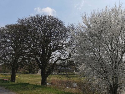 Holiday house 5 Personen Ferienhaus in Holeby - Outdoor photo 17