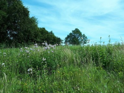 Holiday house 5 Personen Ferienhaus in Holeby - Outdoor photo 18
