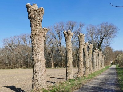 Holiday house 5 Personen Ferienhaus in Holeby - Outdoor photo 22