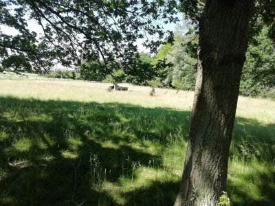 Holiday house 5 Personen Ferienhaus in Holeby - Outdoor photo 23