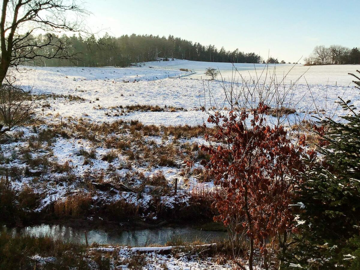 Holiday house Tranquil Riverside Retreat - Outdoor photo 5