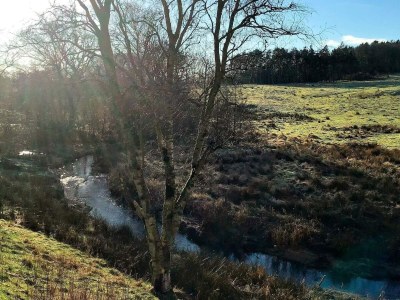 Holiday house Tranquil Riverside Retreat - Outdoor photo 4