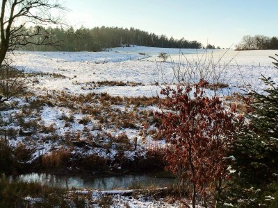 Holiday house Tranquil Riverside Retreat - Outdoor photo 5