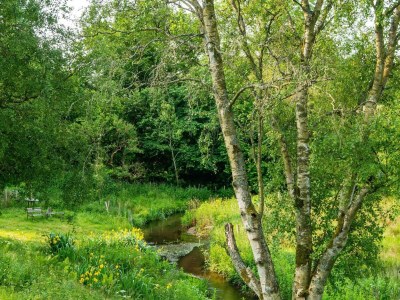 Holiday house Tranquil Riverside Retreat - Outdoor photo 22