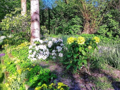 Holiday house 5 person holiday home in Middelfart - Outdoor photo 20