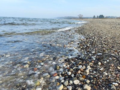 Holiday house 5 person holiday home in Middelfart - Outdoor photo 27