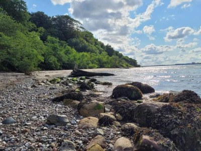 Holiday house 5 person holiday home in Middelfart - Outdoor photo 33