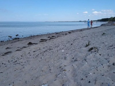 Holiday house 5 person holiday home in Middelfart - Outdoor photo 39