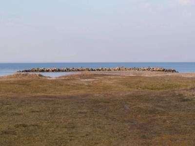 Holiday house 5 person holiday home in Middelfart - Outdoor photo 43