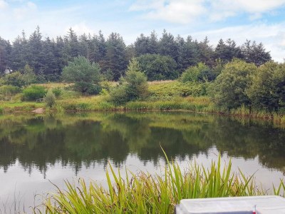 Holiday house 6 Personen Ferienhaus in Toftlund - Outdoor photo 23
