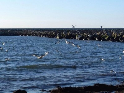 Holiday house Seaside Serenity in Hummingen-By Traum - Outdoor photo 9