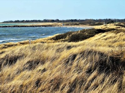 Holiday house Seaside Serenity in Hummingen-By Traum - Outdoor photo 22