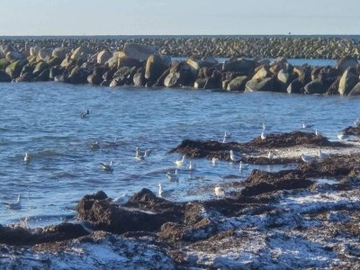 Holiday house Seaside Serenity in Hummingen-By Traum - Outdoor photo 29