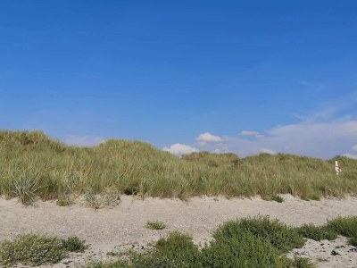 Holiday house Seaside Serenity in Hummingen-By Traum - Outdoor photo 44