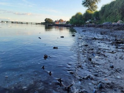 Holiday house Luxury Seaside Retreat in Nr. Lyngby-By Traum - Outdoor photo 21