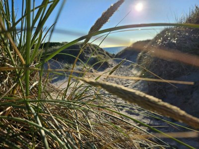 Holiday house 6 Personen Ferienhaus in Ringkøbing - Outdoor photo 37