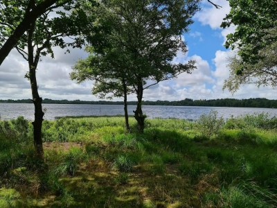 Holiday house Skandinavische Seeblick-Oase-By Traum - Outdoor photo 33