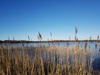 Holiday house 10 Personen Ferienhaus in Ansager - Outdoor photo 35