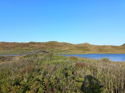 Holiday house 8 Personen Ferienhaus in Nørre Nebel - Outdoor photo 11