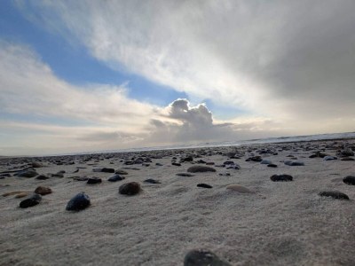 Holiday house 8 Personen Ferienhaus in Nørre Nebel - Outdoor photo 13