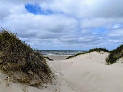 Holiday house 8 Personen Ferienhaus in Nørre Nebel - Outdoor photo 15