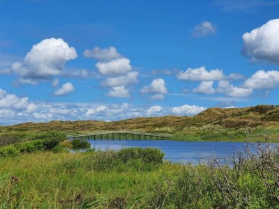 Holiday house 8 Personen Ferienhaus in Nørre Nebel - Outdoor photo 35