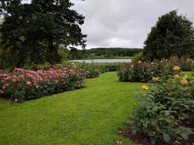 Holiday house 4 Personen Ferienhaus in Gråsten - Outdoor photo 11