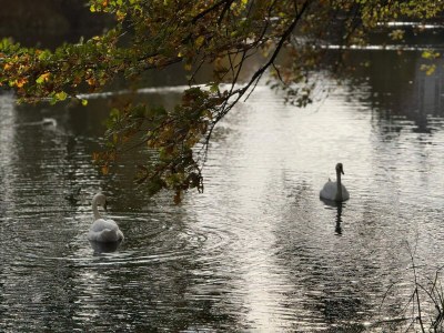 Holiday house 4 Personen Ferienhaus in Gråsten - Outdoor photo 13