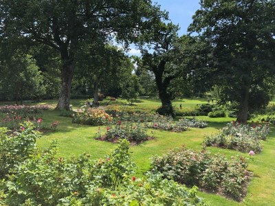 Holiday house 4 Personen Ferienhaus in Gråsten - Outdoor photo 36