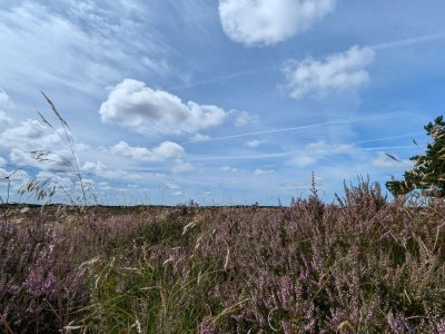 Holiday house 6 person holiday home in Rømø - Outdoor photo 12