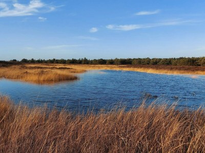 Holiday house 6 person holiday home in Rømø - Outdoor photo 18