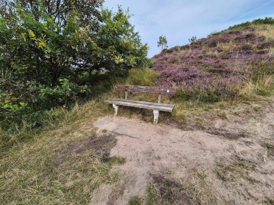 Holiday house 6 person holiday home in Rømø - Outdoor photo 19