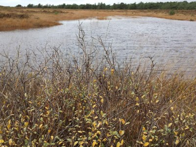 Holiday house 6 person holiday home in Rømø - Outdoor photo 22