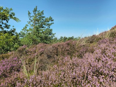 Holiday house 6 person holiday home in Rømø - Outdoor photo 31