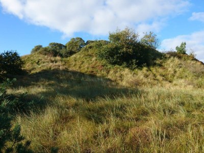 Holiday house 6 person holiday home in Rømø - Outdoor photo 33